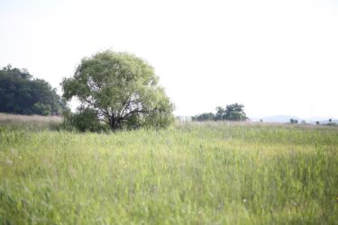 GREEN×EXPO 2027に行くなら必見！新たに発表された10者の出展内容と見どころまとめ