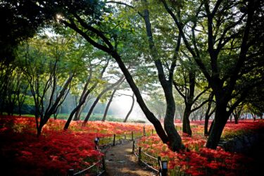 GREEN×EXPO2027 会期中イベント第一弾を公表｜59カ国のナショナルデーと通期の目玉2企画を先取りチェック