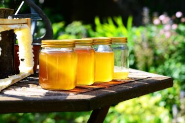 横浜花博HONEY HARMONY GARDENとは？はちみつと発酵のガーデンを子連れで楽しむ